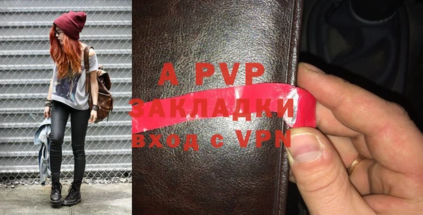 прущие грибы Киренск