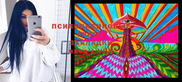 не бодяженный Абаза