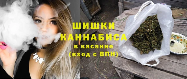 шишки Алзамай