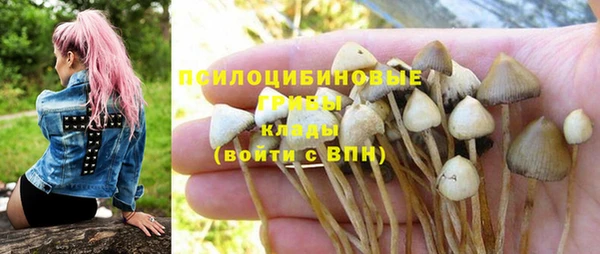 амфетамин Алексеевка