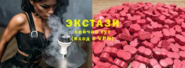 гашик Алексин