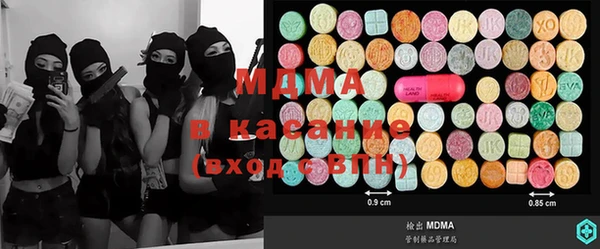 гашик Алексин