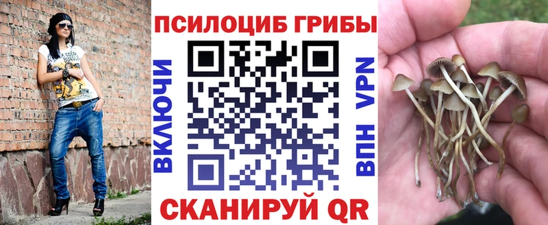 Галлюциногенные грибы Magic Shrooms  что такое   Апрелевка 